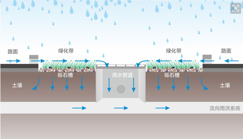 《焦點訪談》聚焦海綿城市：會呼吸才宜居